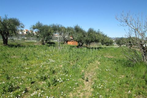 Landejendom i Fundao, Castelo Branco, Fundao - € 28.500 | Ref: 255250091 - foto 5