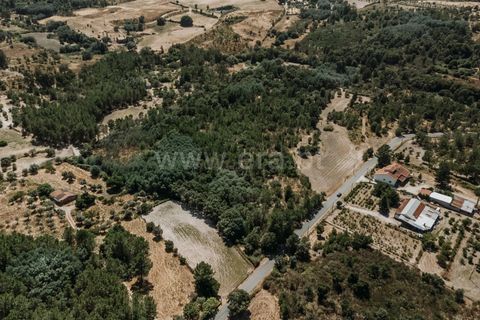 Helårsgrund i Fundao, Castelo Branco, Fundao - € 88.000 | Ref: 255250104 - foto 2