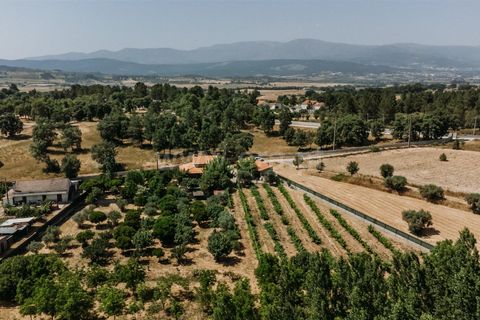 Landejendom i Fundao, Castelo Branco, Fundao - € 488.500 | Ref: 255250100 - foto 1