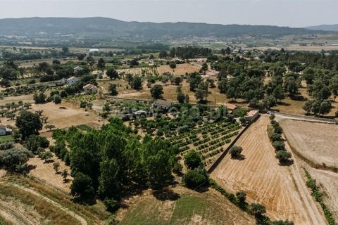 Landejendom i Fundao, Castelo Branco, Fundao - € 488.500 | Ref: 255250100 - foto 2