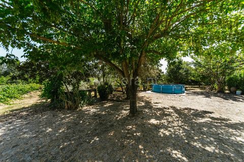Landejendom i Fundao, Castelo Branco, Fundao - € 488.500 | Ref: 255250100 - foto 29