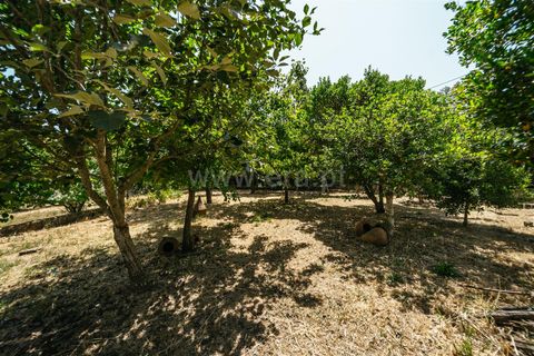 Landejendom i Fundao, Castelo Branco, Fundao - € 488.500 | Ref: 255250100 - foto 30