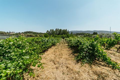 Landejendom i Fundao, Castelo Branco, Fundao - € 488.500 | Ref: 255250100 - foto 31