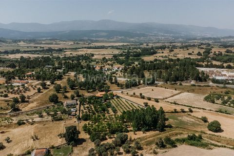 Landejendom i Fundao, Castelo Branco, Fundao - € 488.500 | Ref: 255250100 - foto 33
