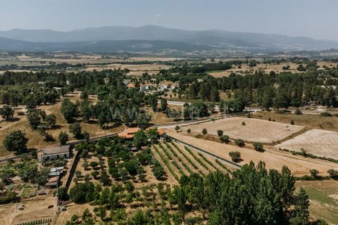 Landejendom i Fundao, Castelo Branco, Fundao - € 488.500 | Ref: 255250100 - foto 34