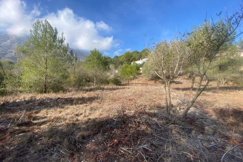 Grond in Denia, Alicante - foto 1