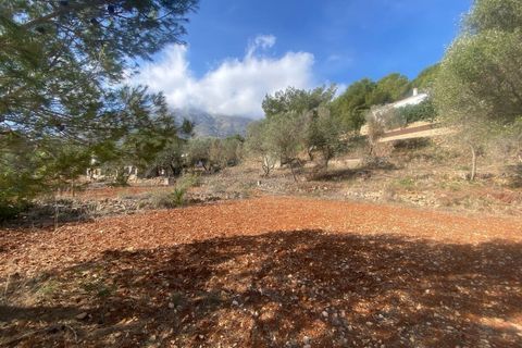 Grond in Denia, Alicante - foto 3