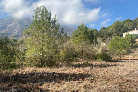 Grond in Denia, Alicante - foto 4