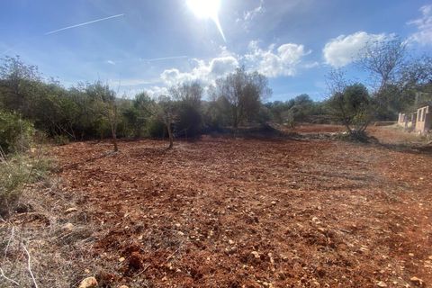 Grond in Denia, Alicante - foto 5