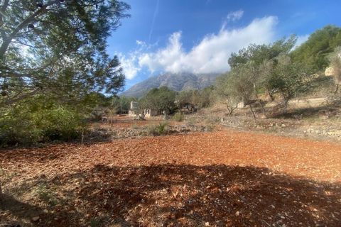 Terra a Denia, Alicante, Denia - € 140.000 | Ref: 5-47-15725 - foto 6
