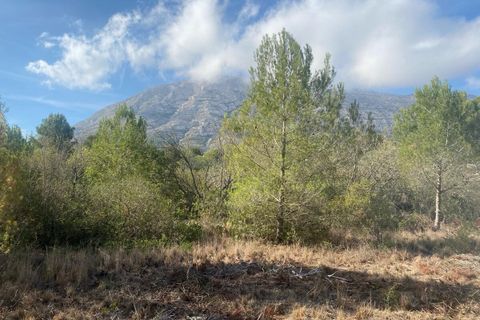 Terra a Denia, Alicante, Denia - € 140.000 | Ref: 5-47-15725 - foto 7