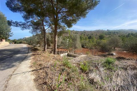 Terra a Denia, Alicante, Denia - € 140.000 | Ref: 5-47-15725 - foto 8