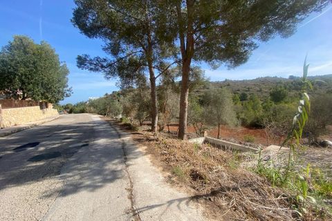 Terra a Denia, Alicante, Denia - € 140.000 | Ref: 5-47-15725 - foto 9