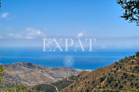 Landejendom i Sayalonga, Malaga, Sayalonga - € 798.000 | Ref: 0449 - foto 36