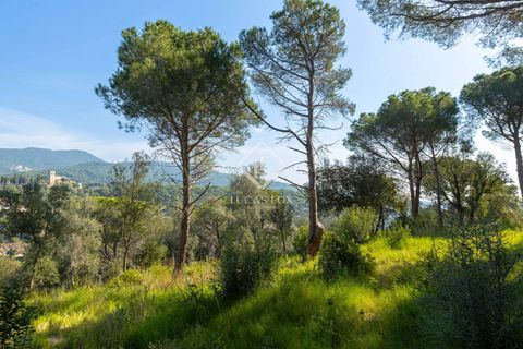 Villa i Sant Andreu De Llavaneres, Barcelona, Sant Andreu De Llavaneres - € 2.200.000 | Ref: MRS57763 - foto 9