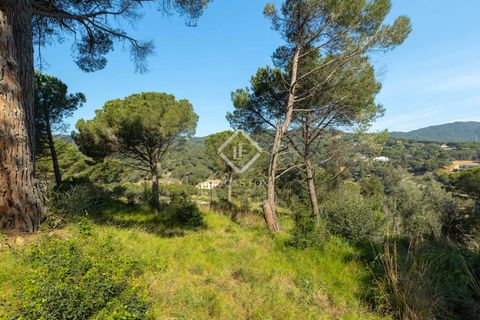 Villa i Sant Andreu De Llavaneres, Barcelona, Sant Andreu De Llavaneres - € 2.200.000 | Ref: MRS57763 - foto 19