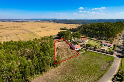 Tomt i Paiao, Coimbra, Paiao - € 27 000 | Ref: FFCI 6102 - foto 2