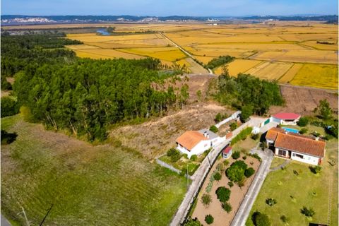 Tomt i Paiao, Coimbra, Paiao - € 27 000 | Ref: FFCI 6102 - foto 7