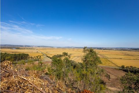 Tomt i Paiao, Coimbra, Paiao - € 27 000 | Ref: FFCI 6102 - foto 8