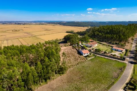 Tomt i Paiao, Coimbra, Paiao - € 27 000 | Ref: FFCI 6102 - foto 12