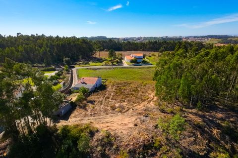 Tomt i Paiao, Coimbra, Paiao - € 27 000 | Ref: FFCI 6102 - foto 13