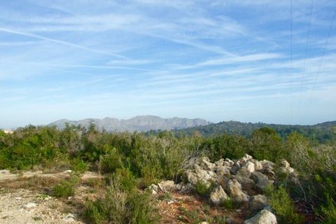 Terra a Benidoleig, Alicante, Benidoleig - € 216.000 | Ref: 01201 - foto 3