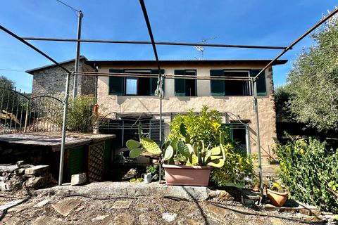 Villa a Diano Castello, Imperia, Diano Castello - € 255.000 | Ref: 1092 - foto 3