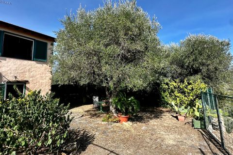 Villa a Diano Castello, Imperia, Diano Castello - € 255.000 | Ref: 1092 - foto 4