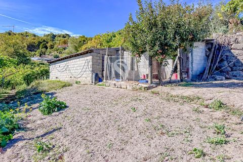 Helårsgrund i Baiao, Porto, Baiao - € 118.000 | Ref: 20251128DR/12937 - foto 1