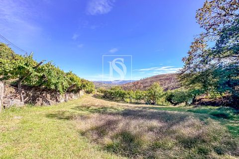 Helårsgrund i Baiao, Porto, Baiao - € 118.000 | Ref: 20251128DR/12937 - foto 2
