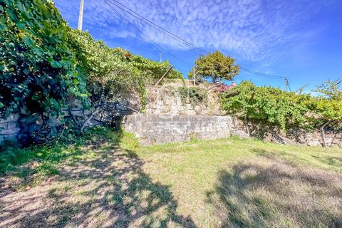 Helårsgrund i Baiao, Porto, Baiao - € 118.000 | Ref: 20251128DR/12937 - foto 3