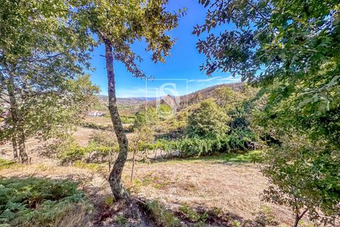 Helårsgrund i Baiao, Porto, Baiao - € 118.000 | Ref: 20251128DR/12937 - foto 4