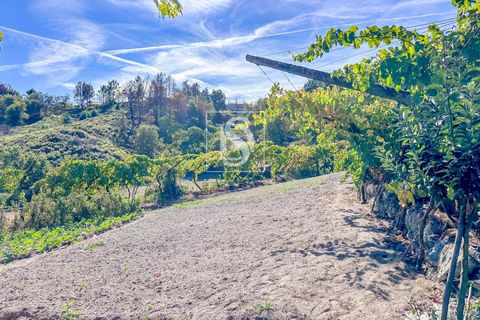 Helårsgrund i Baiao, Porto, Baiao - € 118.000 | Ref: 20251128DR/12937 - foto 5
