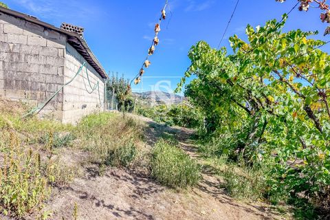 Helårsgrund i Baiao, Porto, Baiao - € 118.000 | Ref: 20251128DR/12937 - foto 6