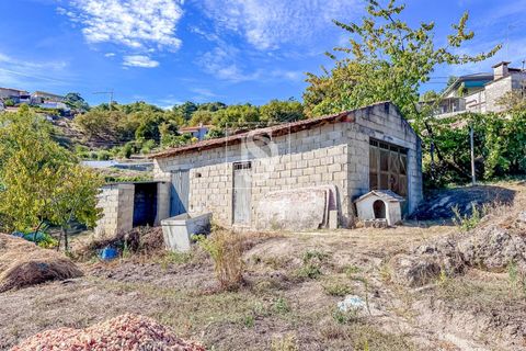 Helårsgrund i Baiao, Porto, Baiao - € 118.000 | Ref: 20251128DR/12937 - foto 8