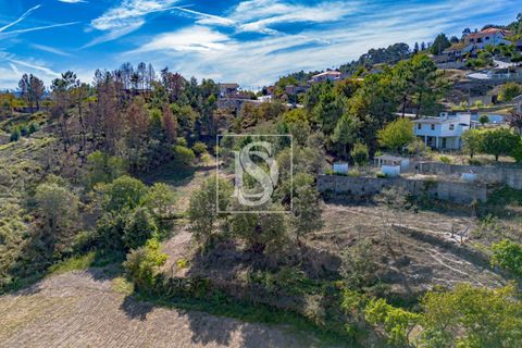 Helårsgrund i Baiao, Porto, Baiao - € 118.000 | Ref: 20251128DR/12937 - foto 9
