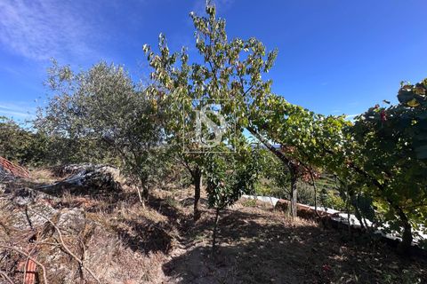 Helårsgrund i Baiao, Porto, Baiao - € 118.000 | Ref: 20251128DR/12937 - foto 10