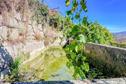 Helårsgrund i Baiao, Porto, Baiao - € 118.000 | Ref: 20251128DR/12937 - foto 11