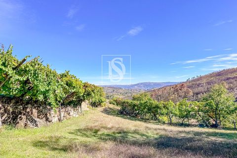Helårsgrund i Baiao, Porto, Baiao - € 118.000 | Ref: 20251128DR/12937 - foto 12