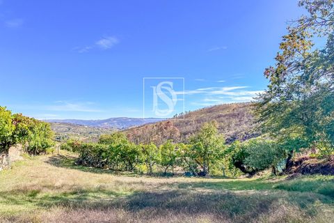 Helårsgrund i Baiao, Porto, Baiao - € 118.000 | Ref: 20251128DR/12937 - foto 13