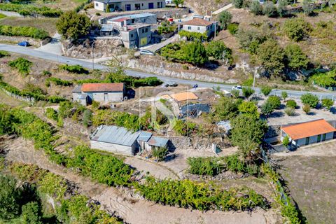 Helårsgrund i Baiao, Porto, Baiao - € 118.000 | Ref: 20251128DR/12937 - foto 14
