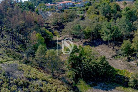 Helårsgrund i Baiao, Porto, Baiao - € 118.000 | Ref: 20251128DR/12937 - foto 19