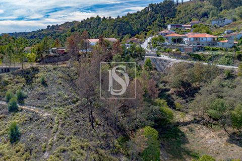 Helårsgrund i Baiao, Porto, Baiao - € 118.000 | Ref: 20251128DR/12937 - foto 20