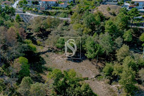 Helårsgrund i Baiao, Porto, Baiao - € 118.000 | Ref: 20251128DR/12937 - foto 21