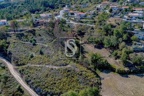 Helårsgrund i Baiao, Porto, Baiao - € 118.000 | Ref: 20251128DR/12937 - foto 22