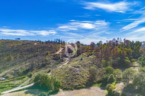 Helårsgrund i Baiao, Porto, Baiao - € 118.000 | Ref: 20251128DR/12937 - foto 26