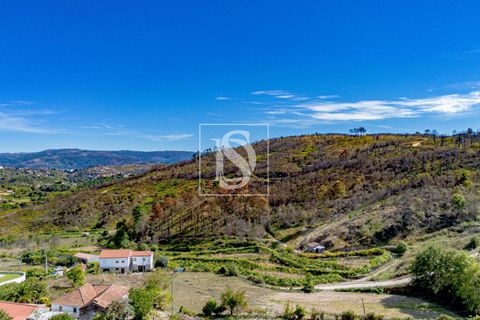 Helårsgrund i Baiao, Porto, Baiao - € 118.000 | Ref: 20251128DR/12937 - foto 27