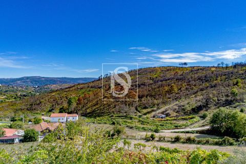 Helårsgrund i Baiao, Porto, Baiao - € 118.000 | Ref: 20251128DR/12937 - foto 28