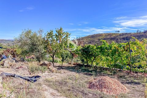 Helårsgrund i Baiao, Porto, Baiao - € 118.000 | Ref: 20251128DR/12937 - foto 29