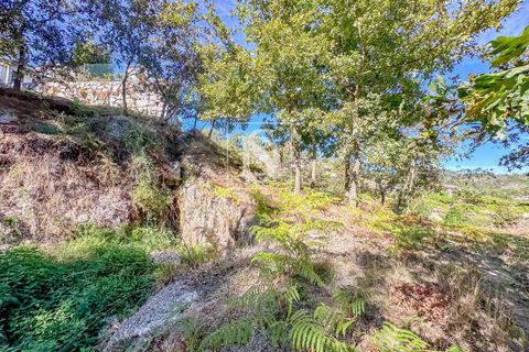Helårsgrund i Baiao, Porto, Baiao - € 118.000 | Ref: 20251128DR/12937 - foto 30